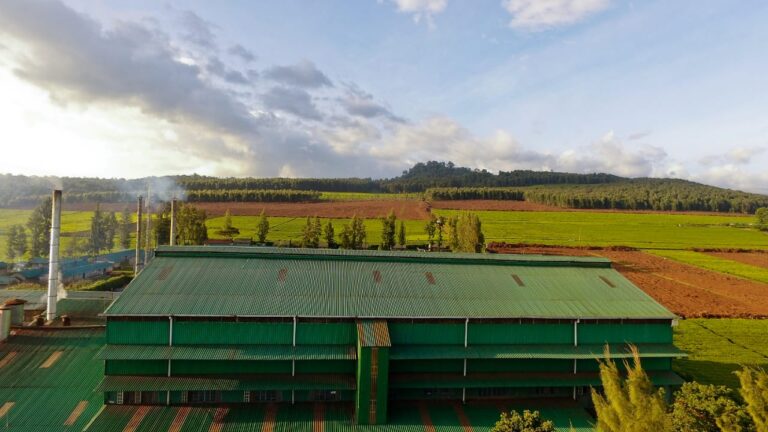 KTDA Holdings appoints Francis Miano as acting CEO