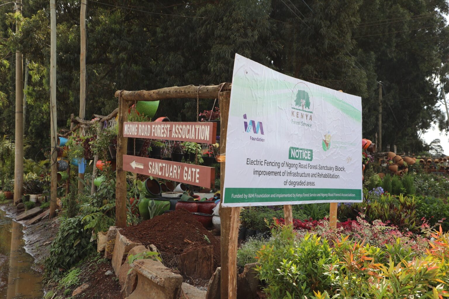Kenya launches reforestation drive in Mukogodo Forest
