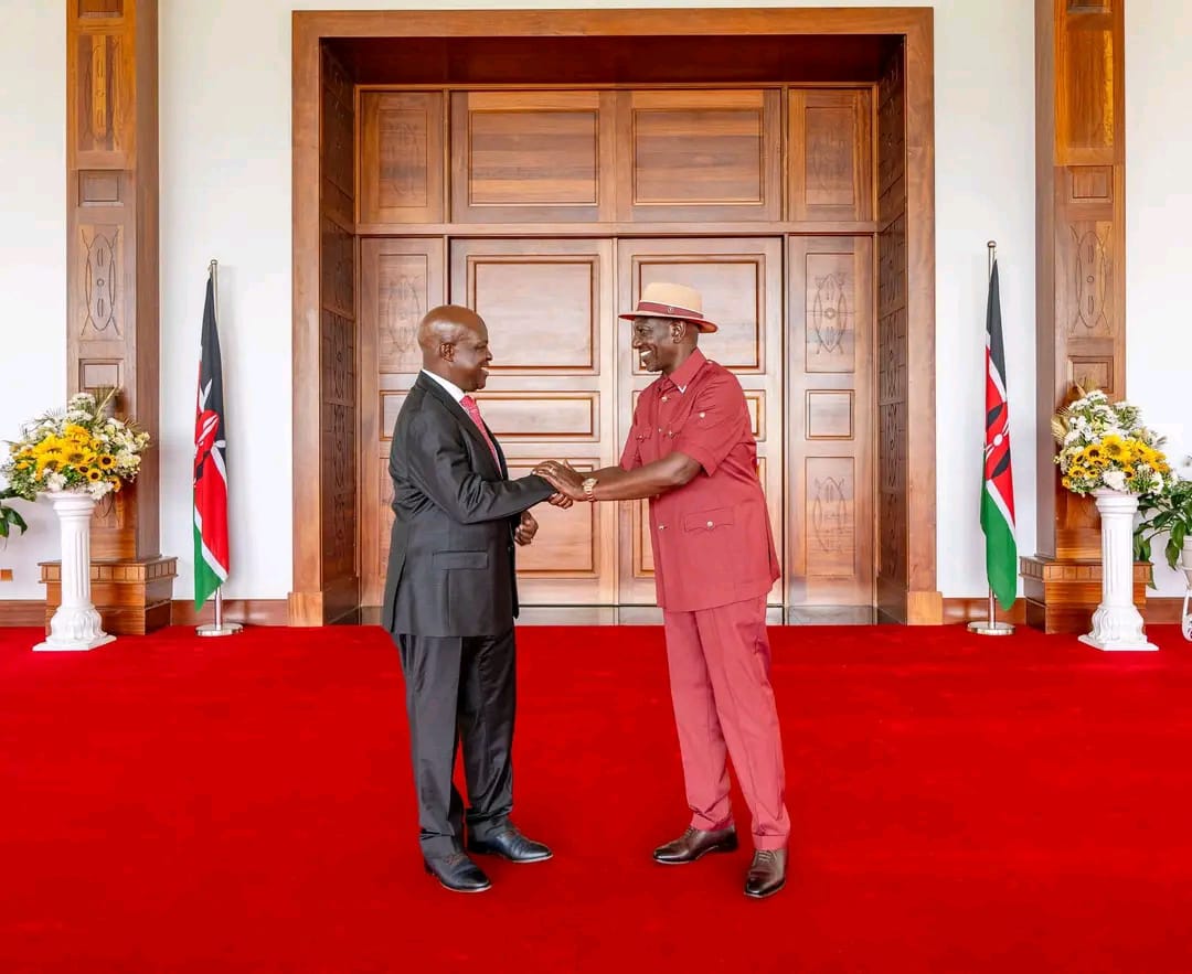 Ruto-Owili meeting reshapes Kisumu's 2027 gubernatorial race.