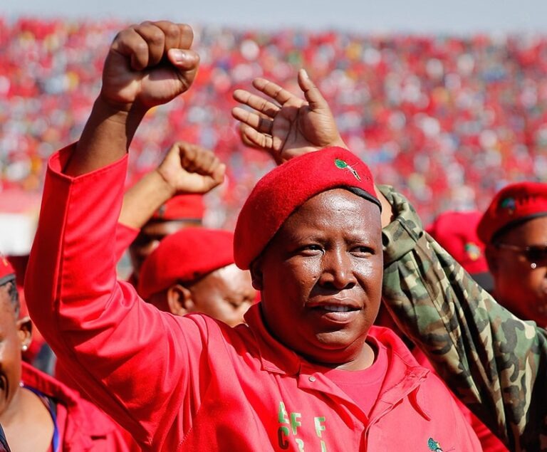 Julius Malema sentenced to five years over gun charges