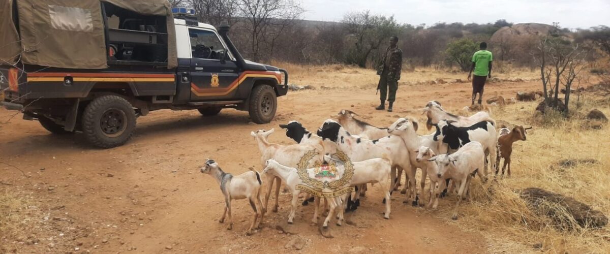 MPs sound alarm over rising insecurity in Isiolo County