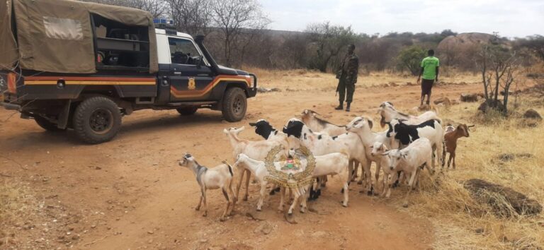 MPs sound alarm over rising insecurity in Isiolo County