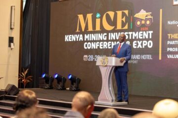 Nigeria responds as Ruto defends viral English remarks