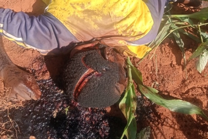 Seven killed in suspected Somali bandit attack in Kitui’s Mwingi north