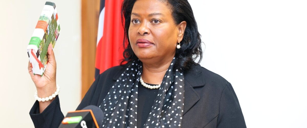 Kenya rallies behind Justice Njoki Ndung’u in ICC Judge bid