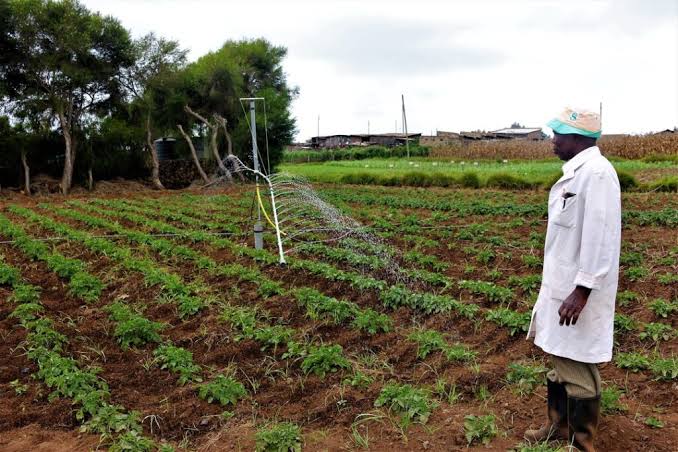 Over 2000 West Pokot farmers benefit from production training drive
